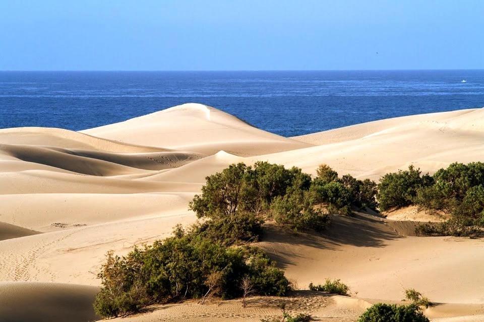 Cozy Bungalow Maspalomas Green Kültér fotó
